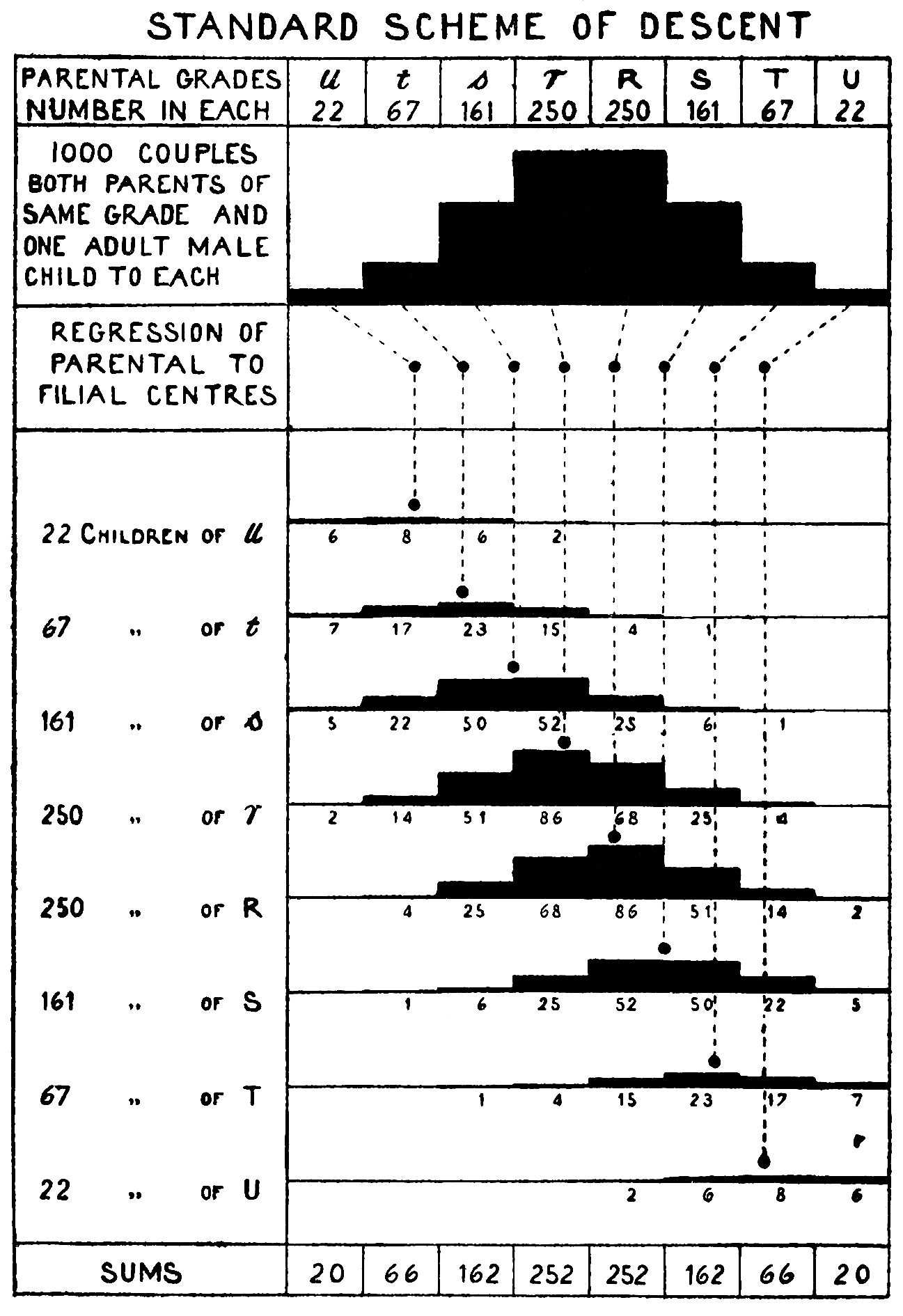 Chart: STANDARD SCHEME OF DESCENT
