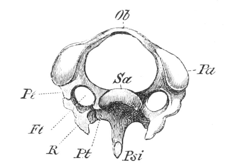 fig1