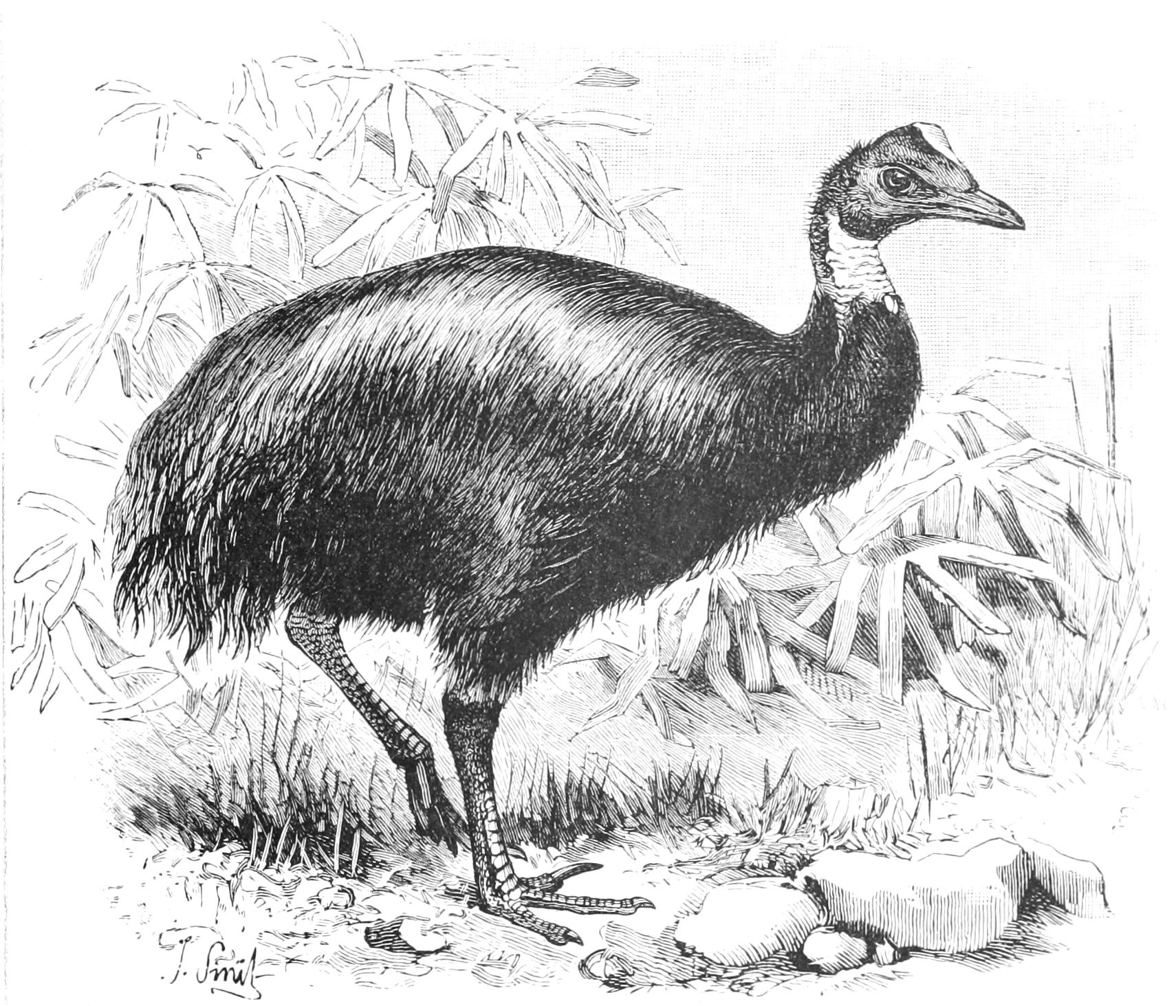 fig10