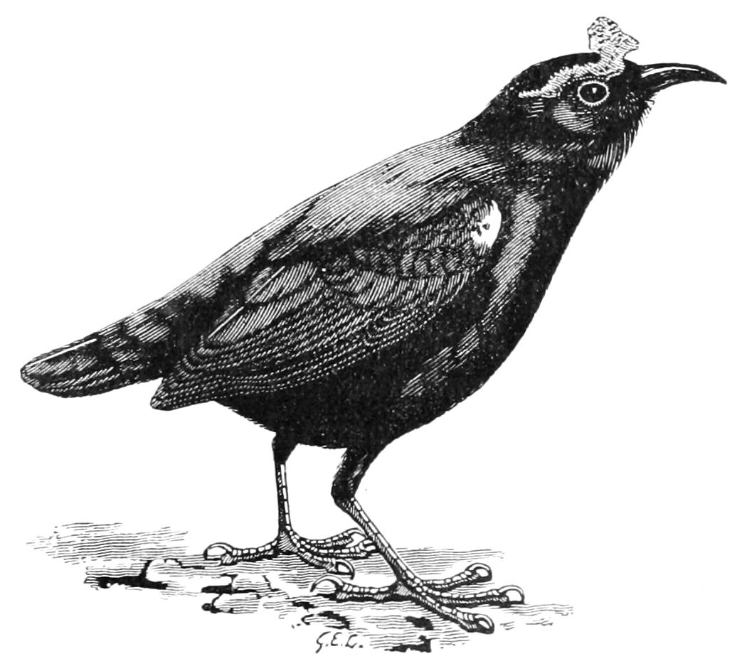 fig100