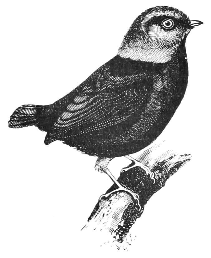 fig102