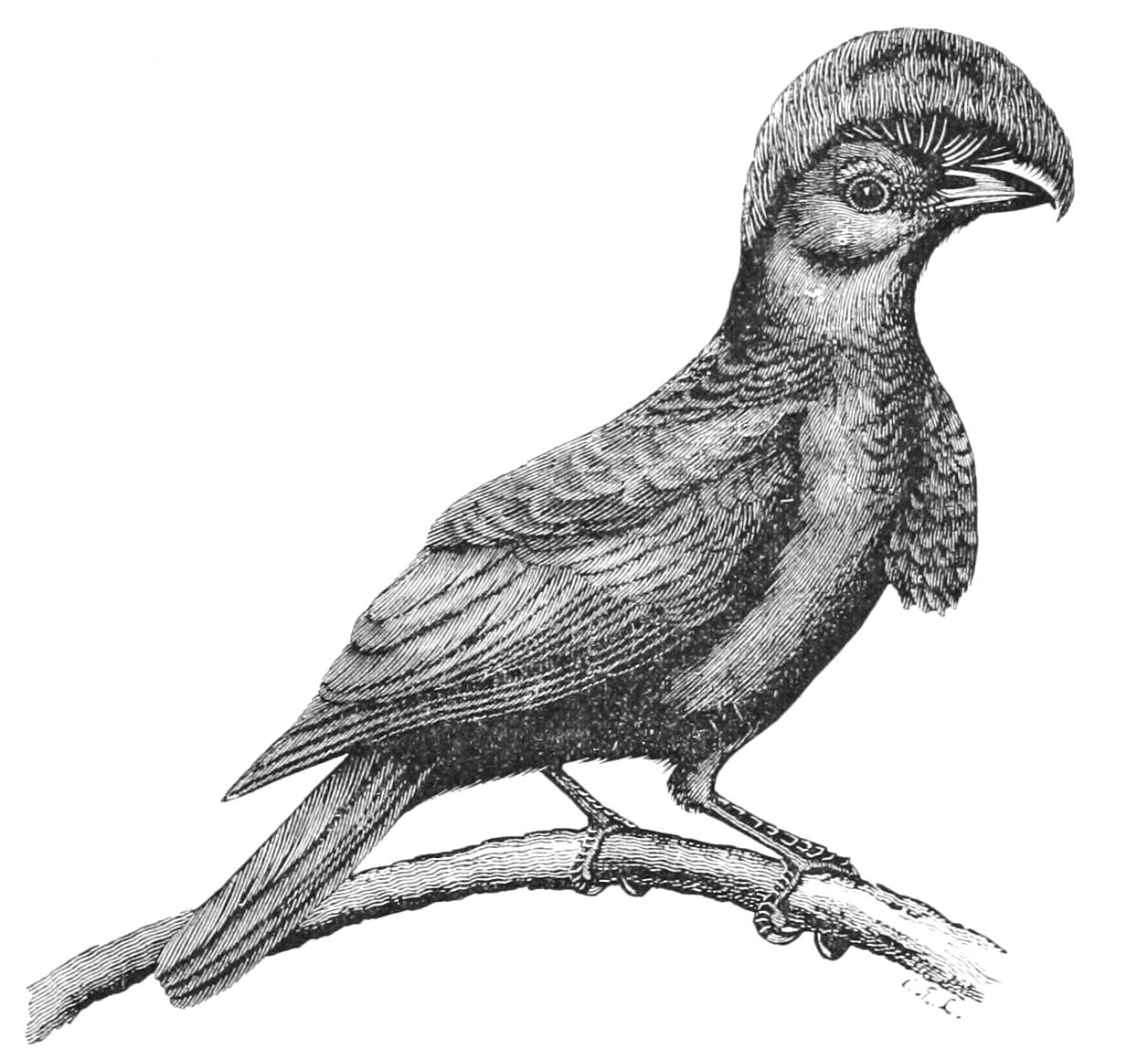 fig103
