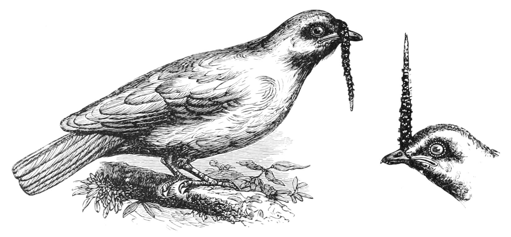 fig104