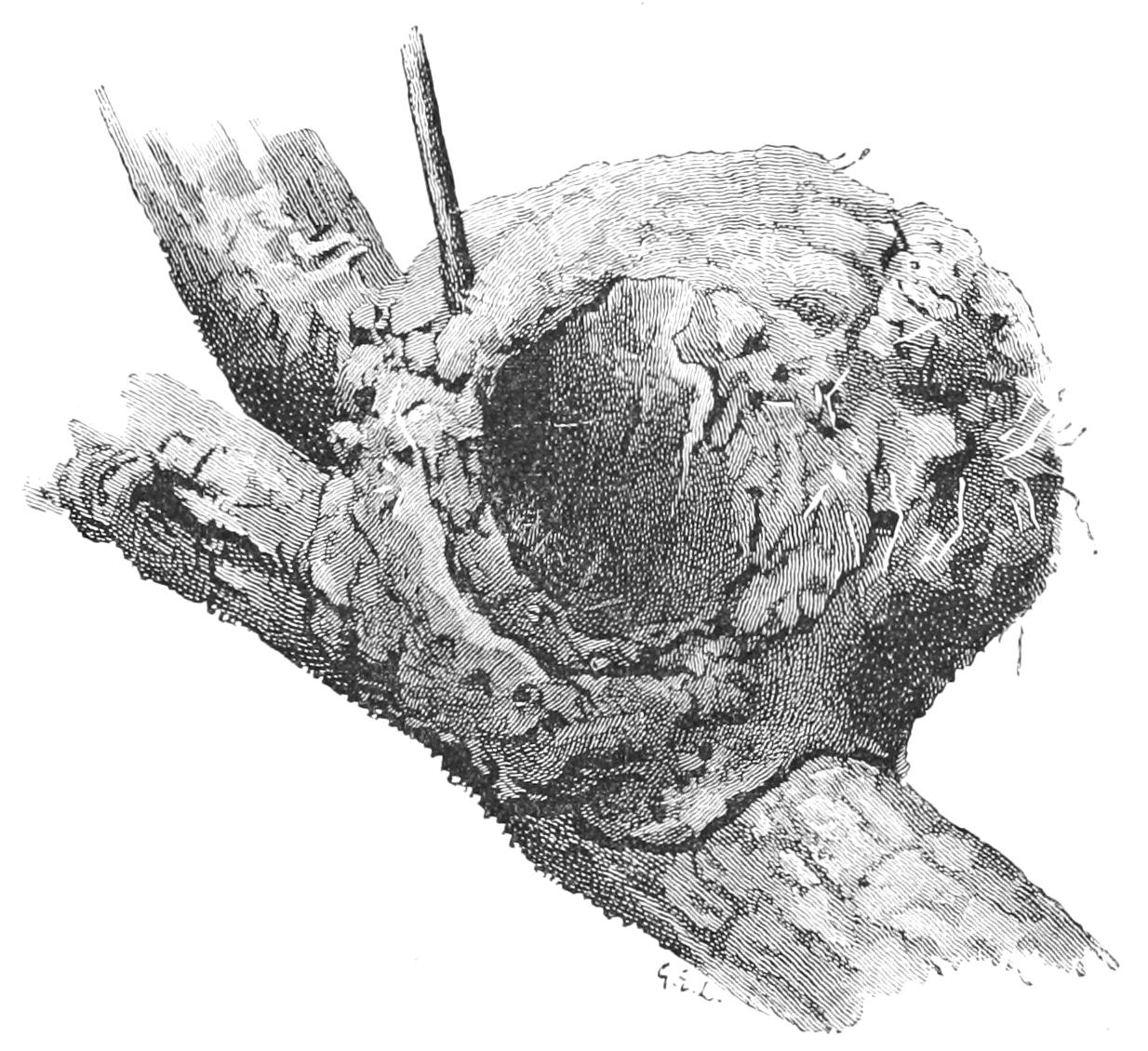 fig105