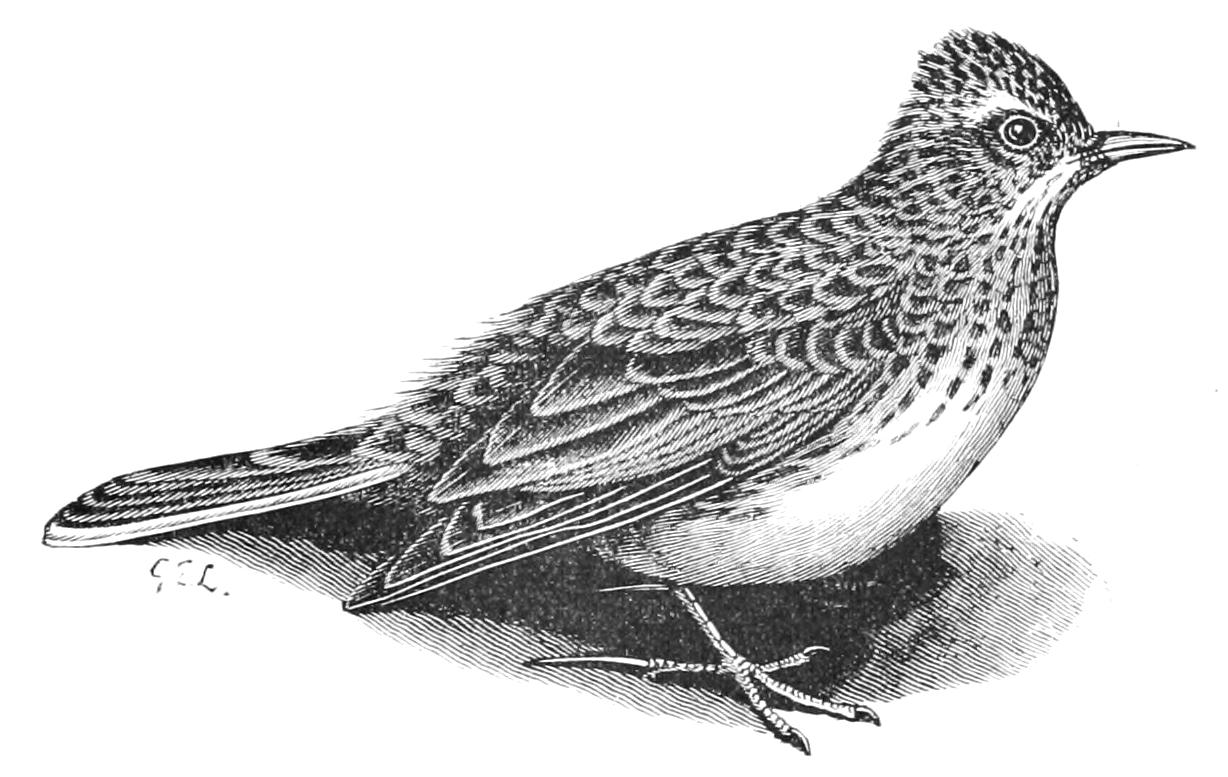 fig107