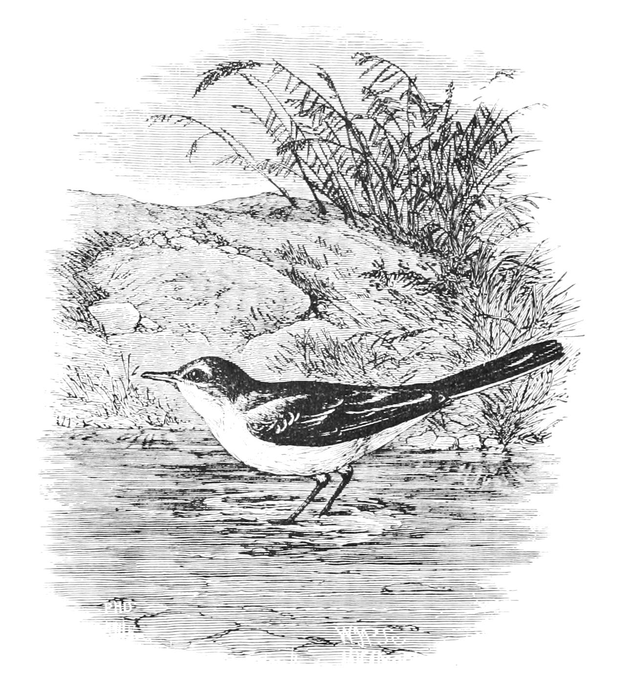 fig108