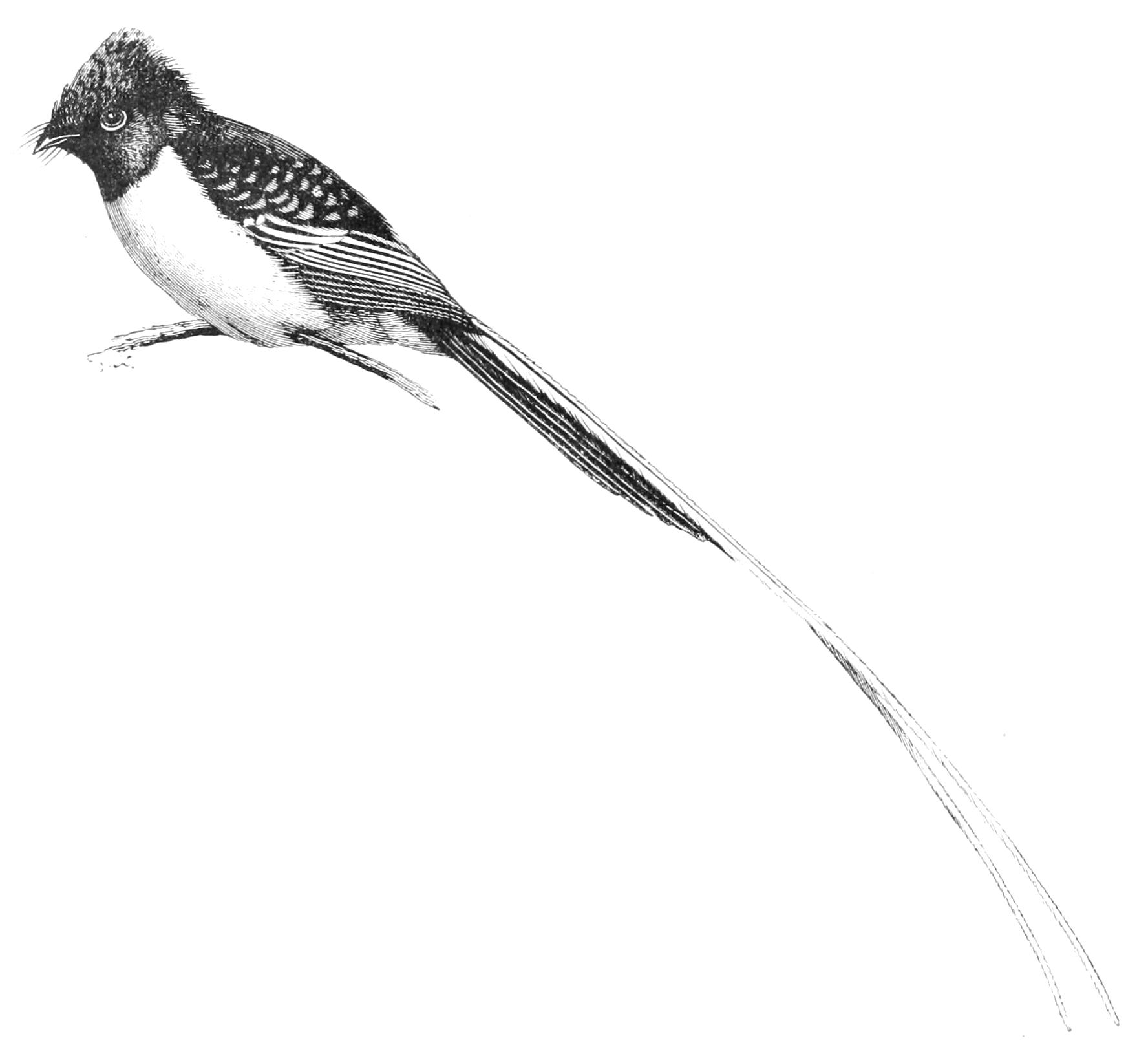 fig110