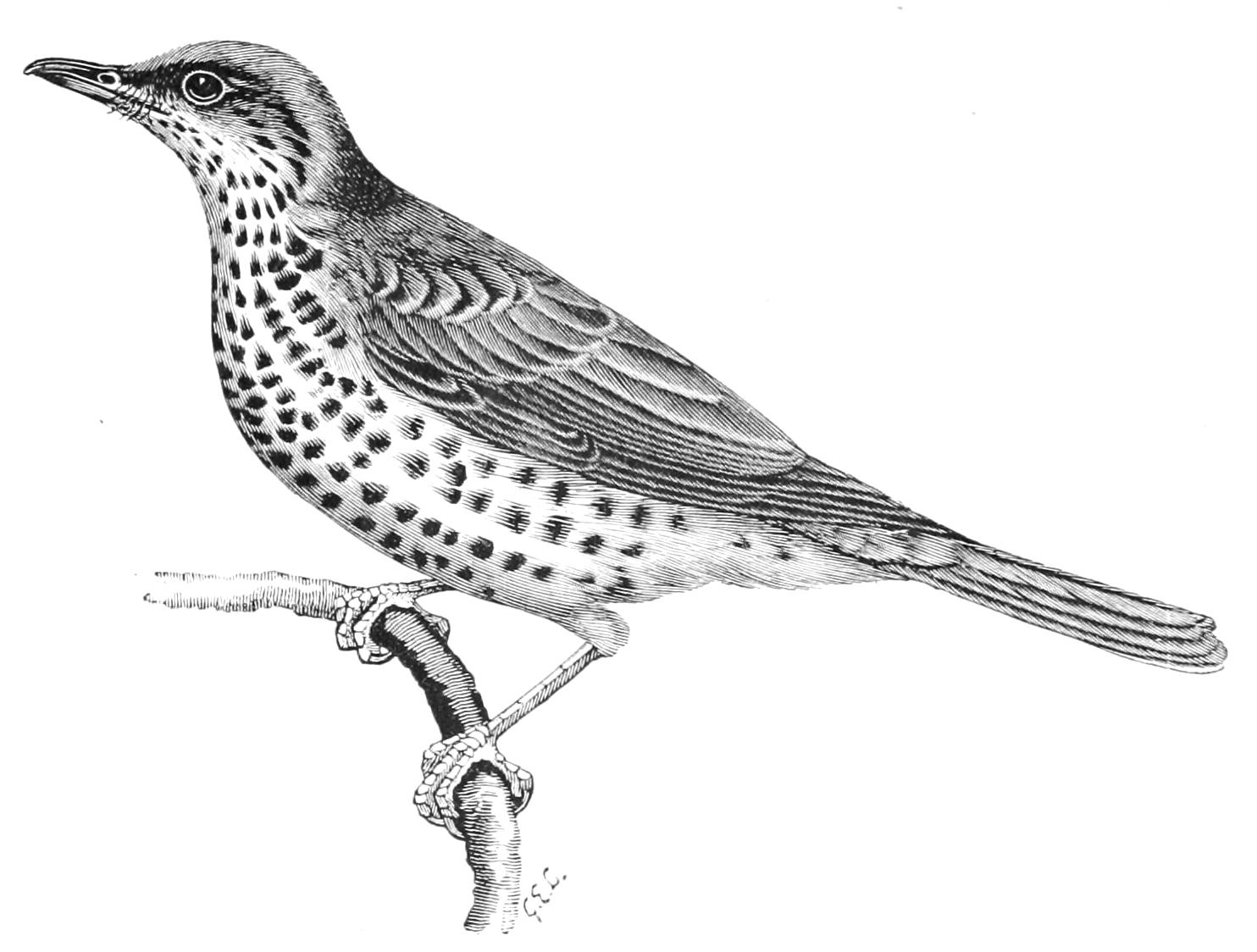 fig111