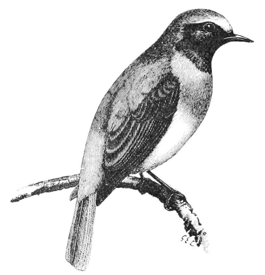 fig112