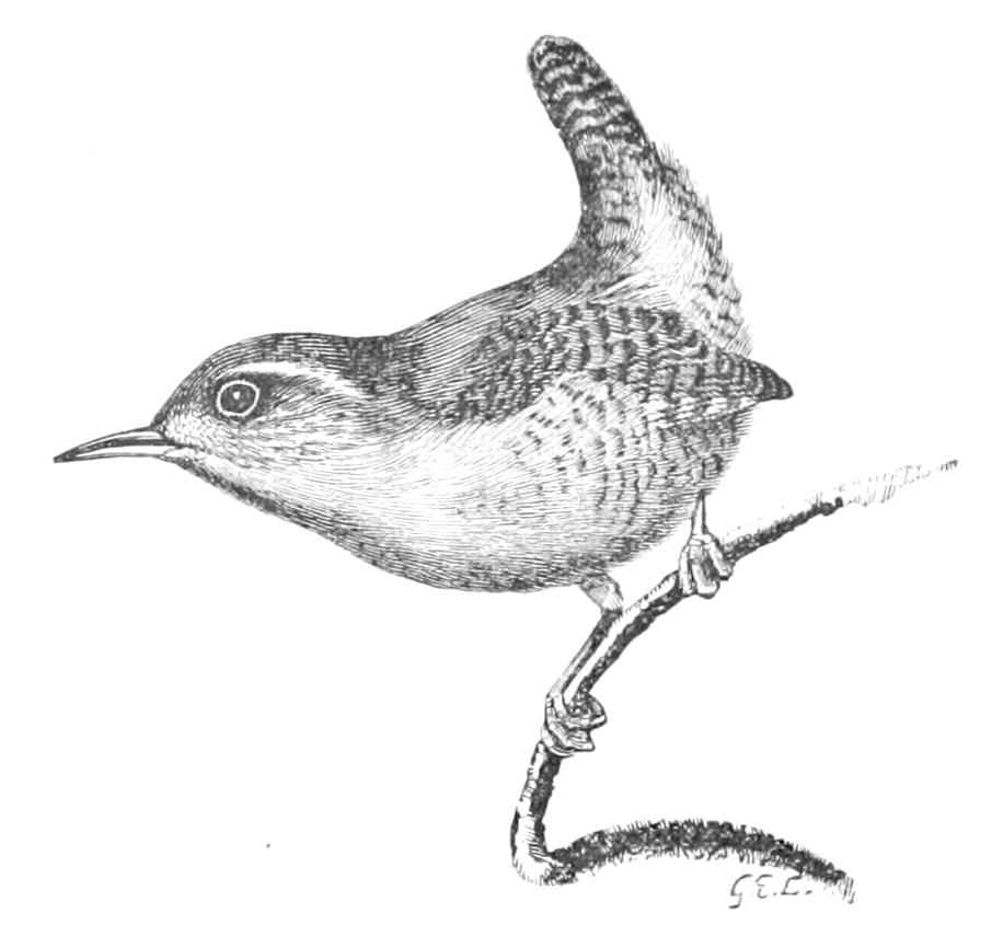 fig114