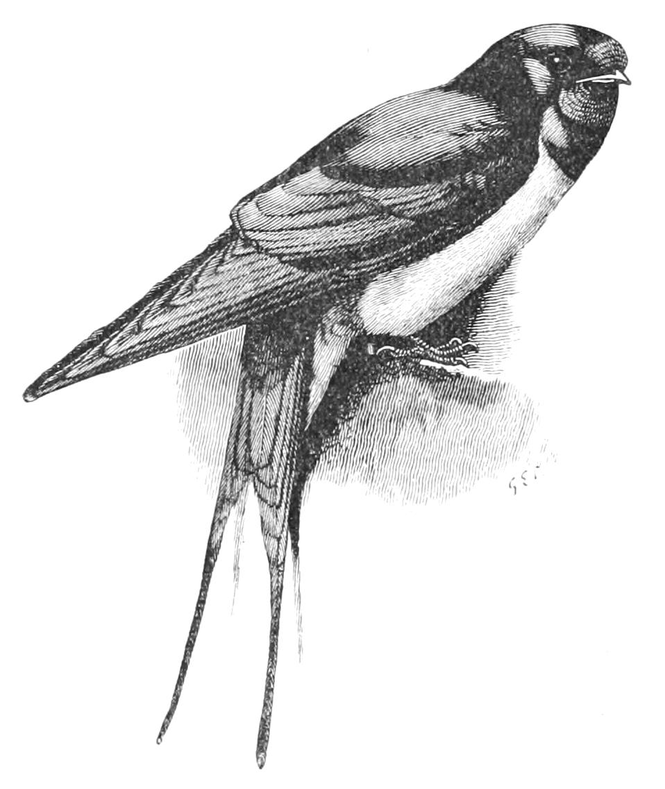 fig115