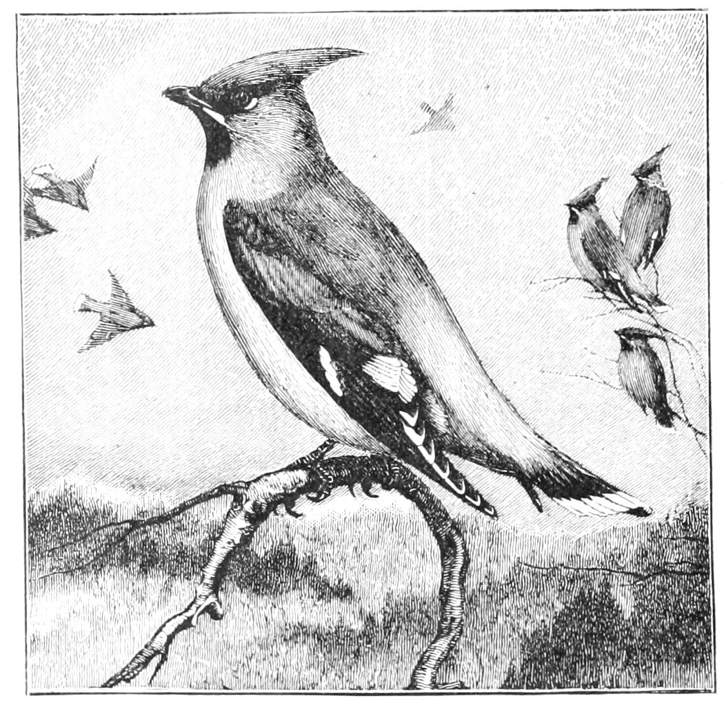 fig118