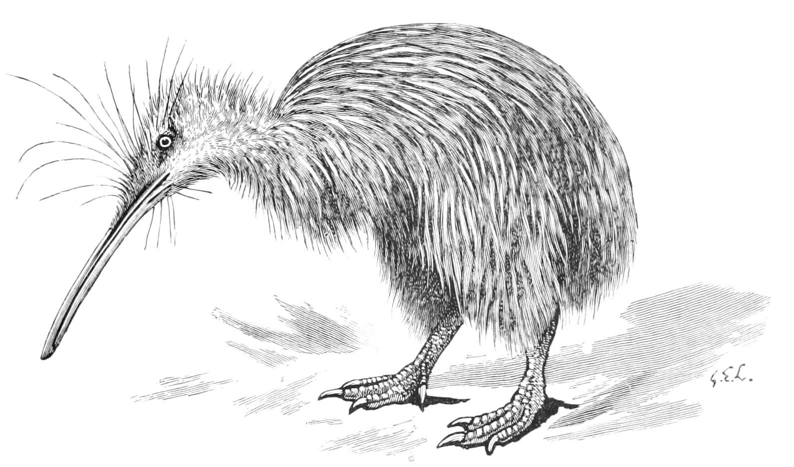 fig12