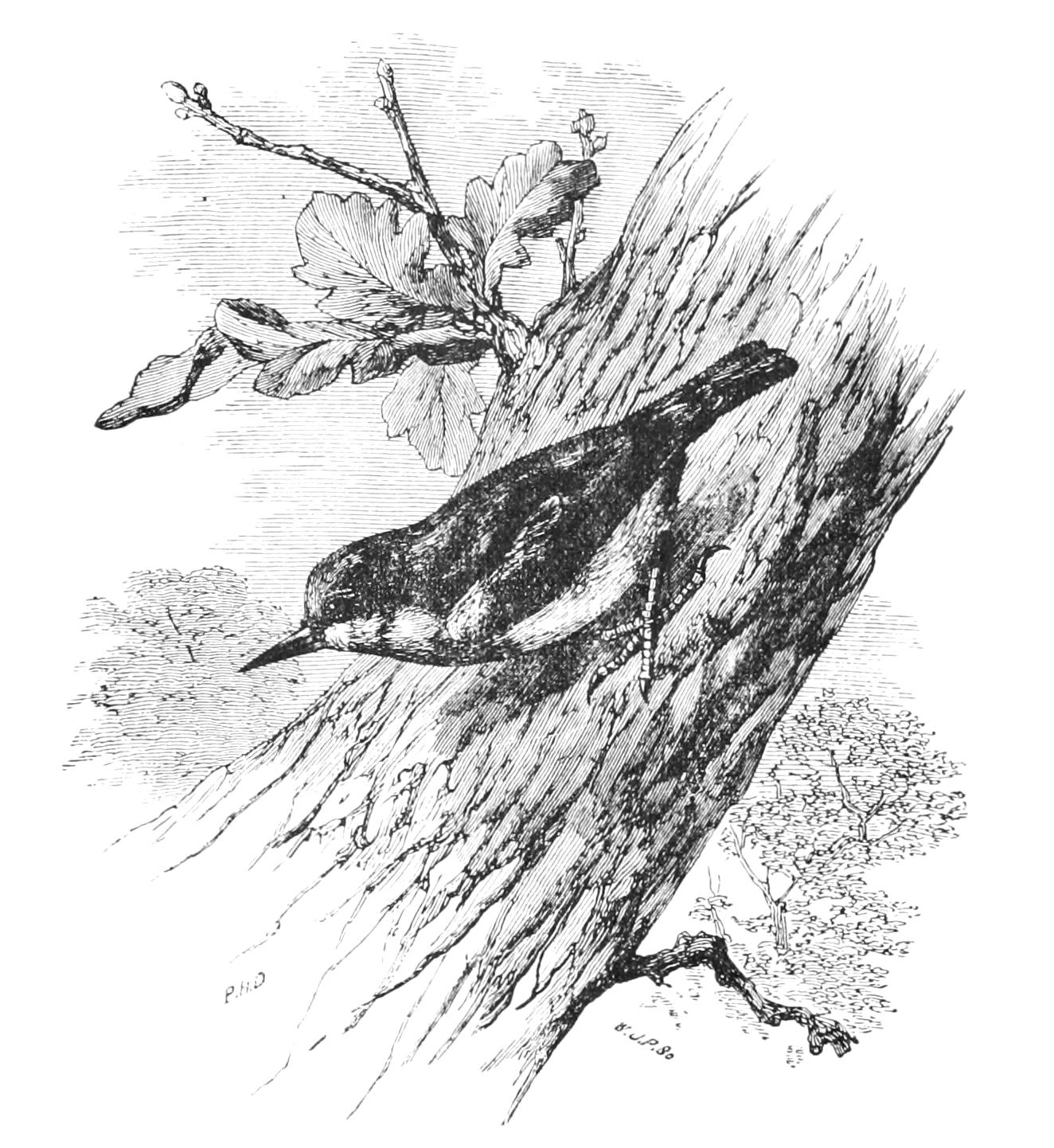 fig120
