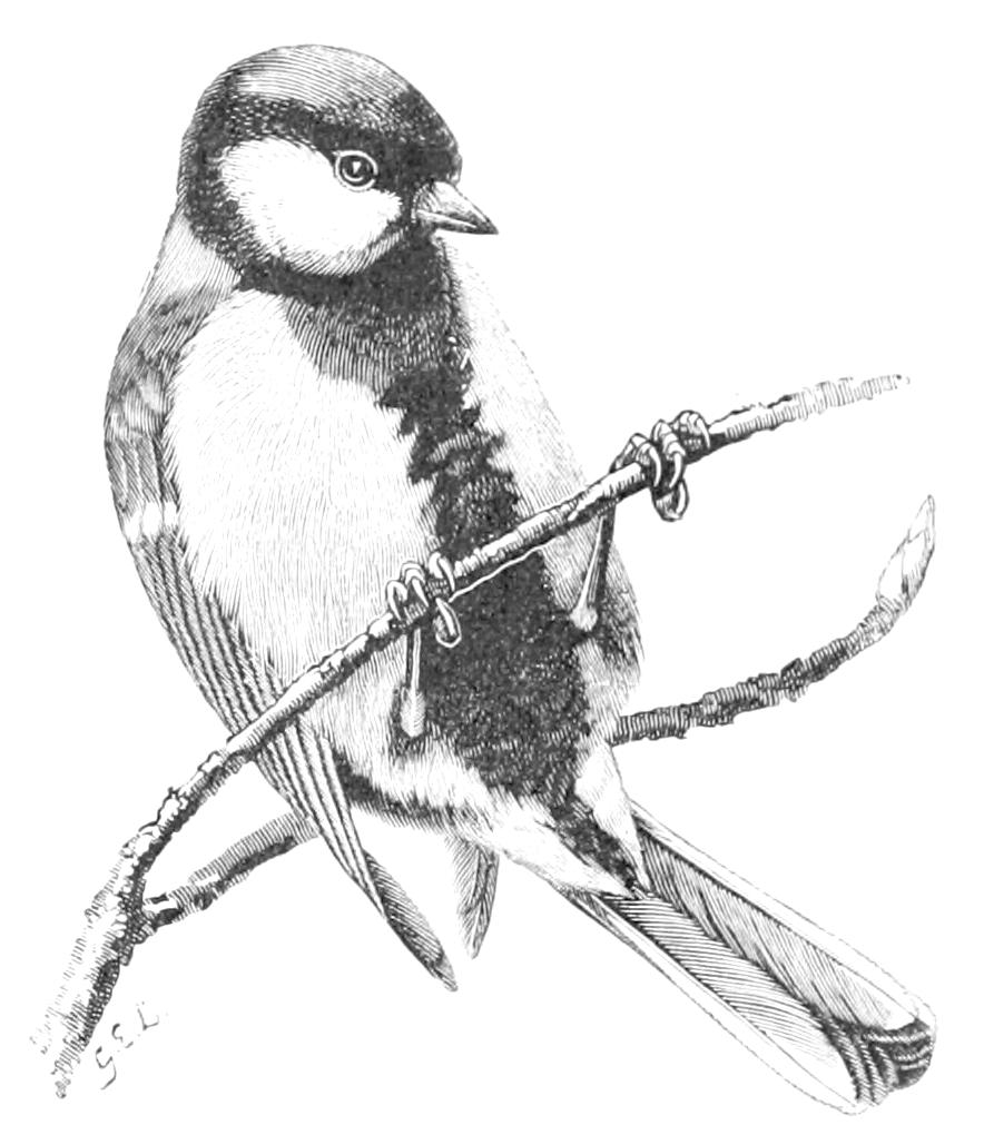fig121