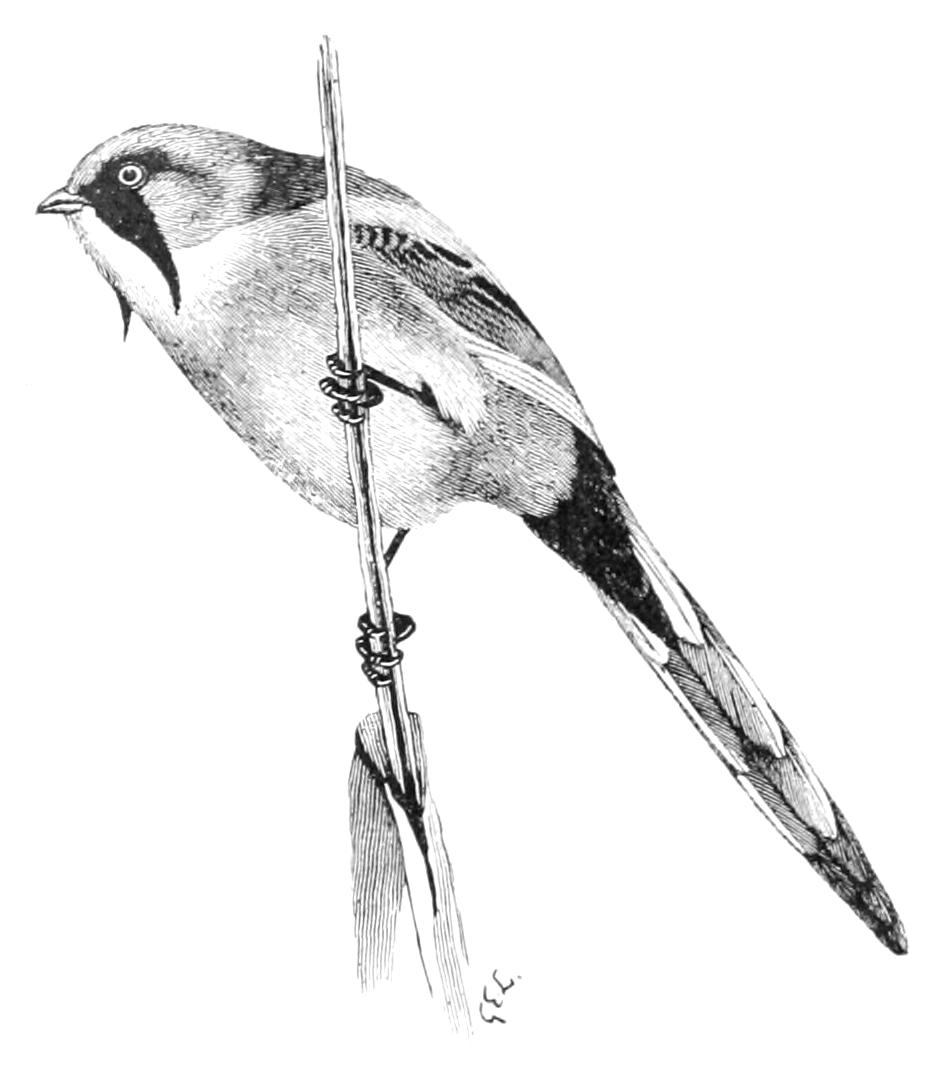 fig122