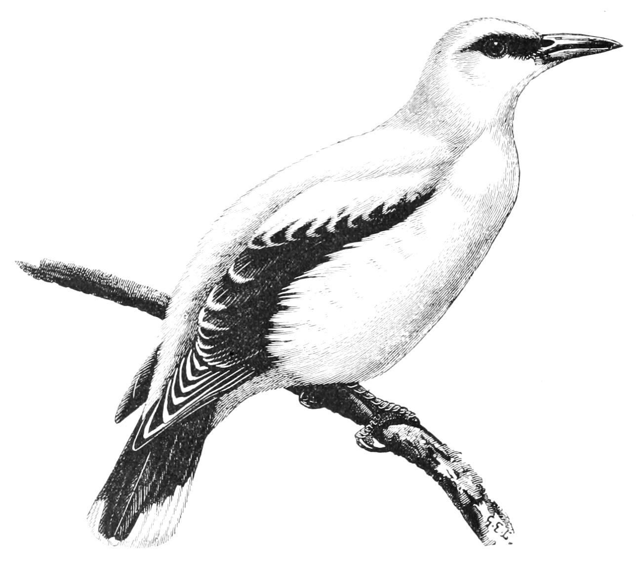 fig123