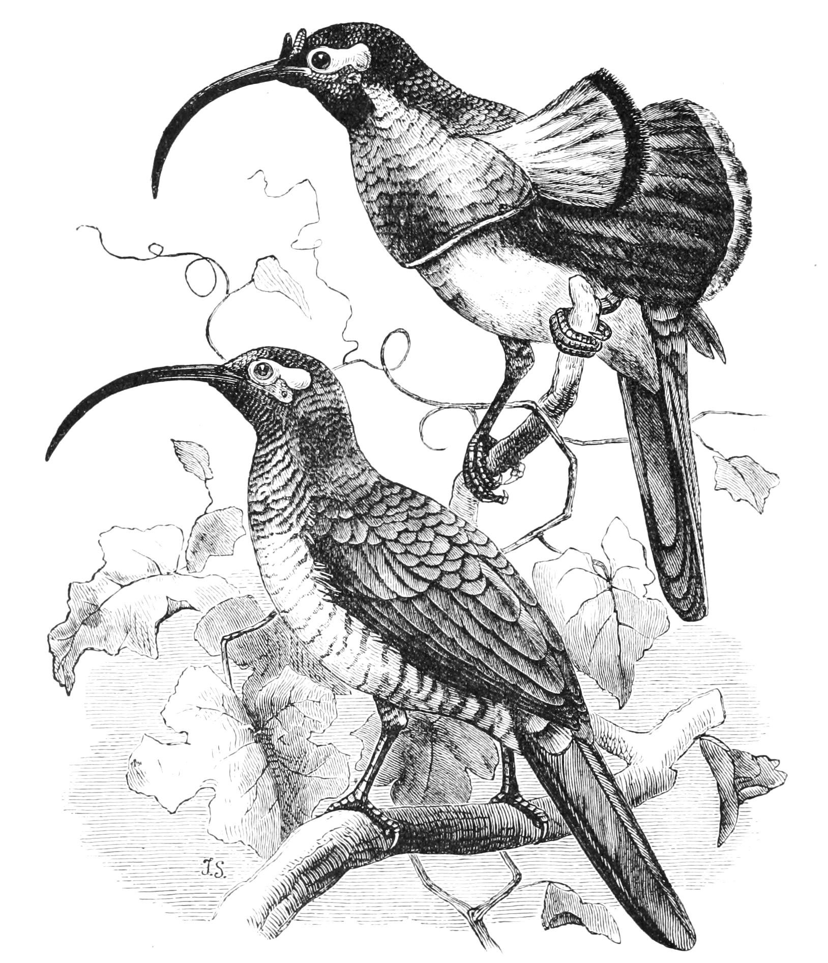 fig124