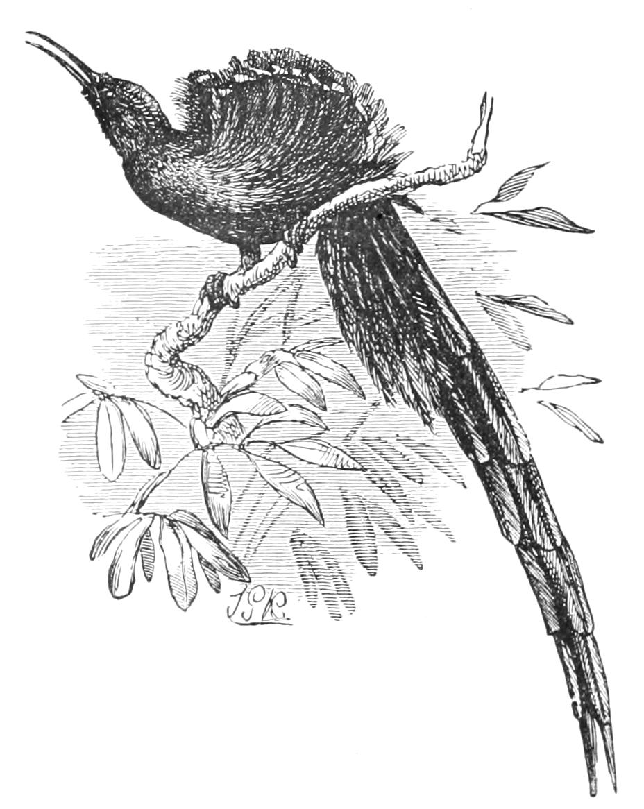 fig125
