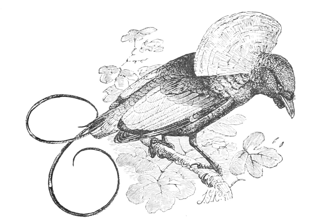 fig126