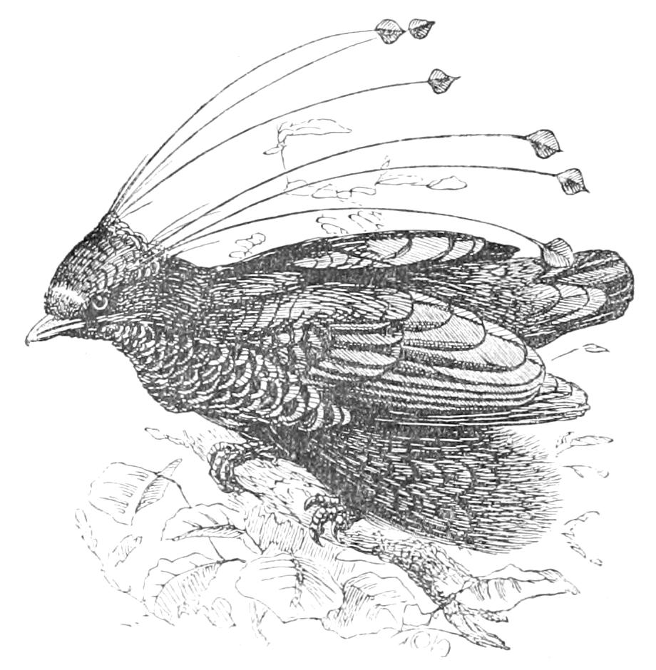fig127