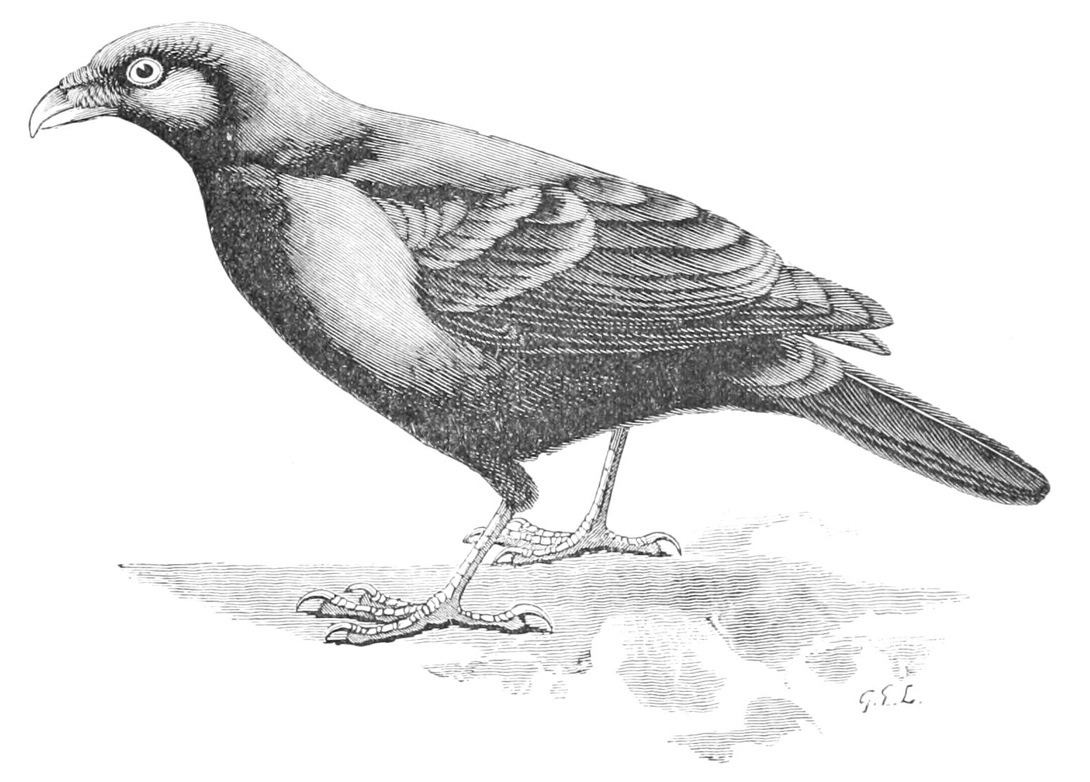 fig128