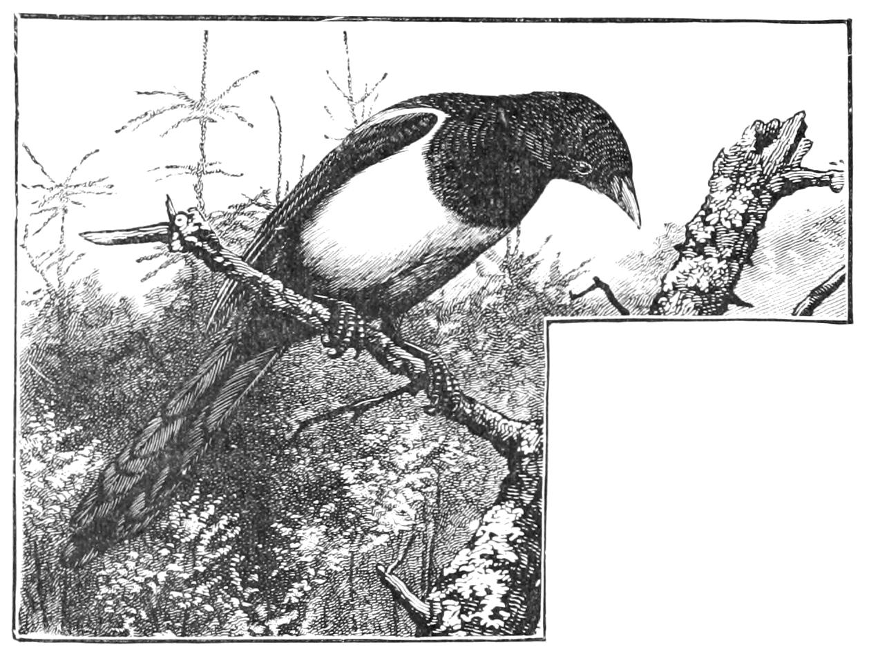 fig129
