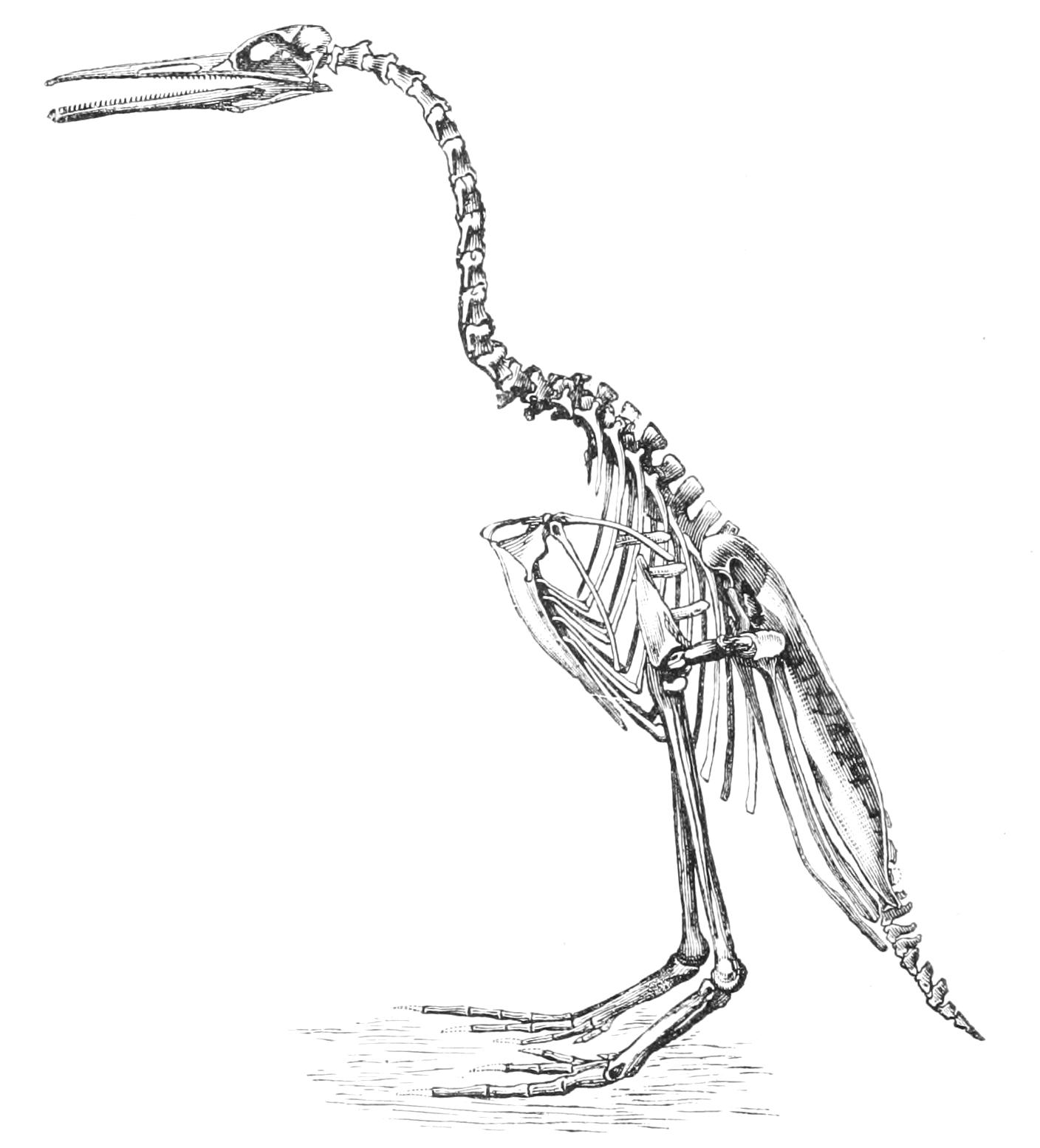 fig13