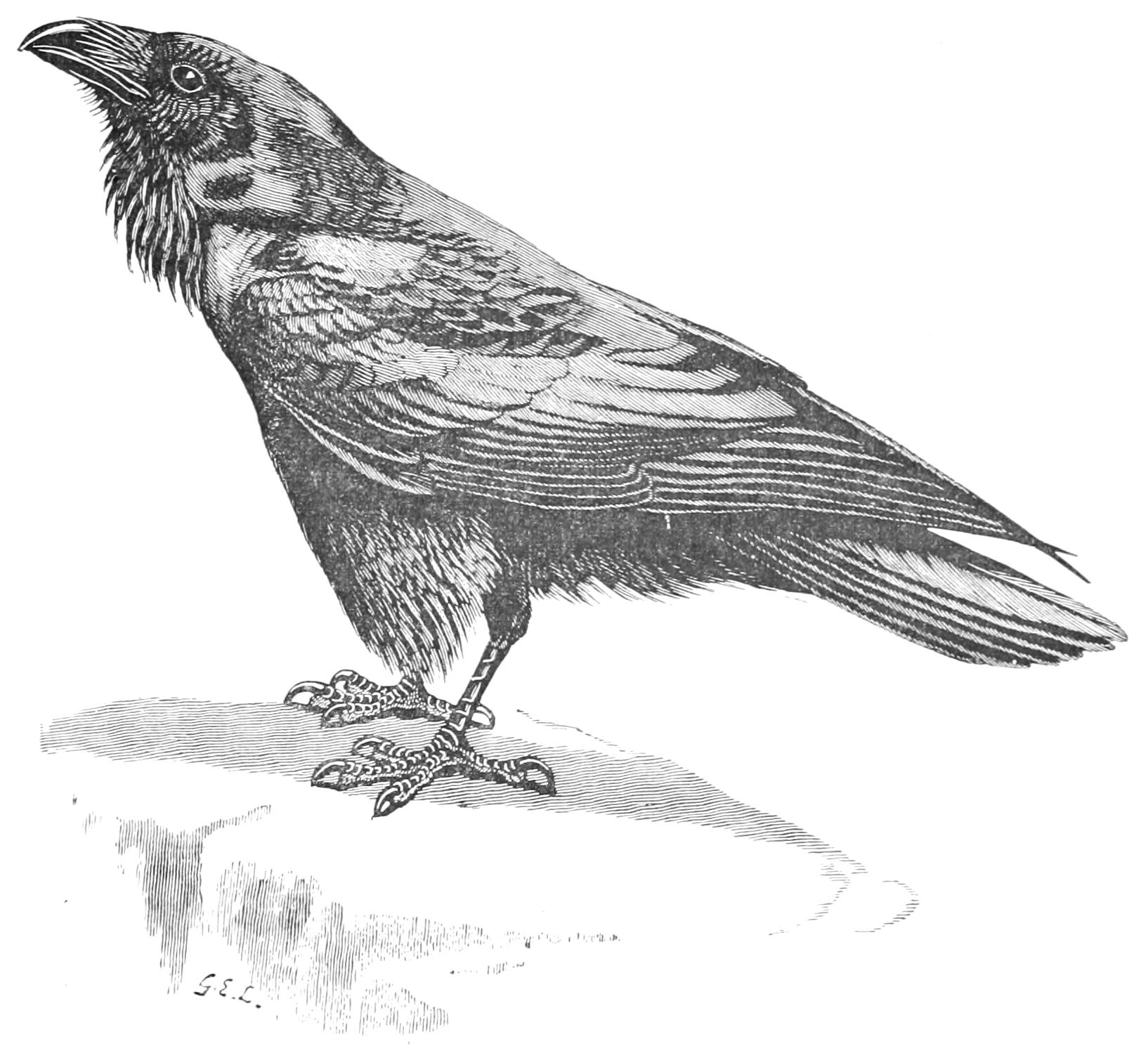 fig130