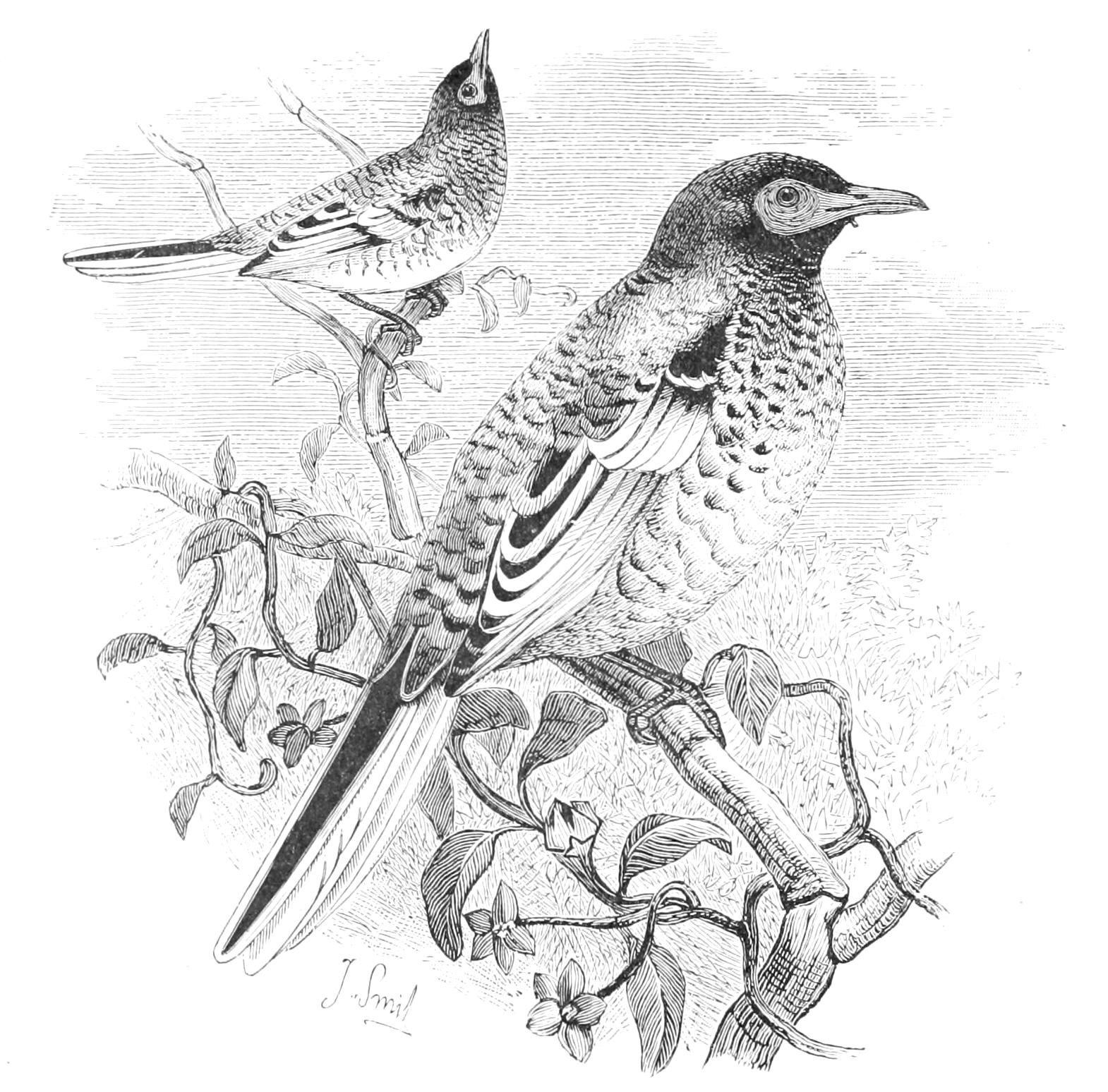 fig134