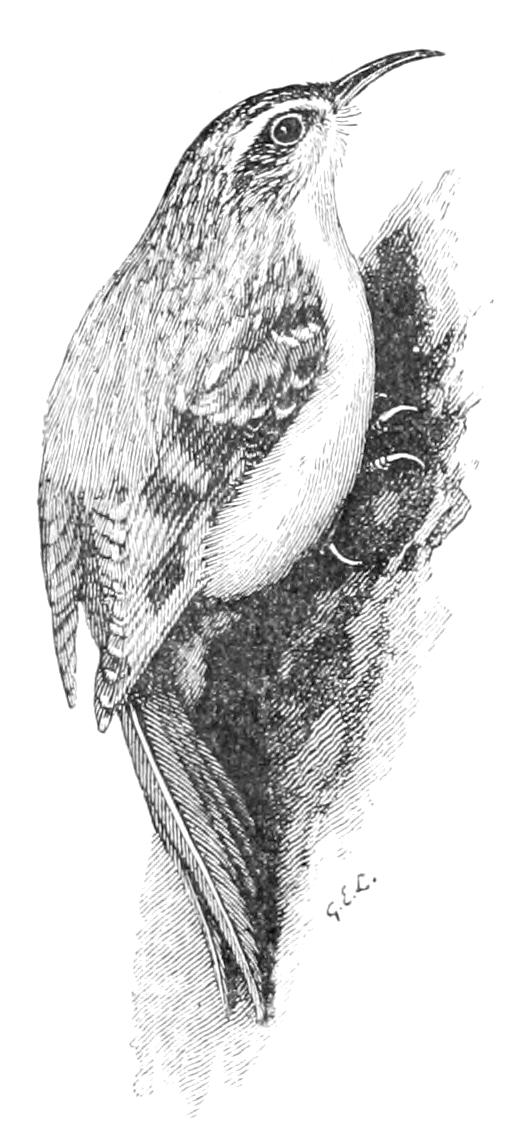 fig137