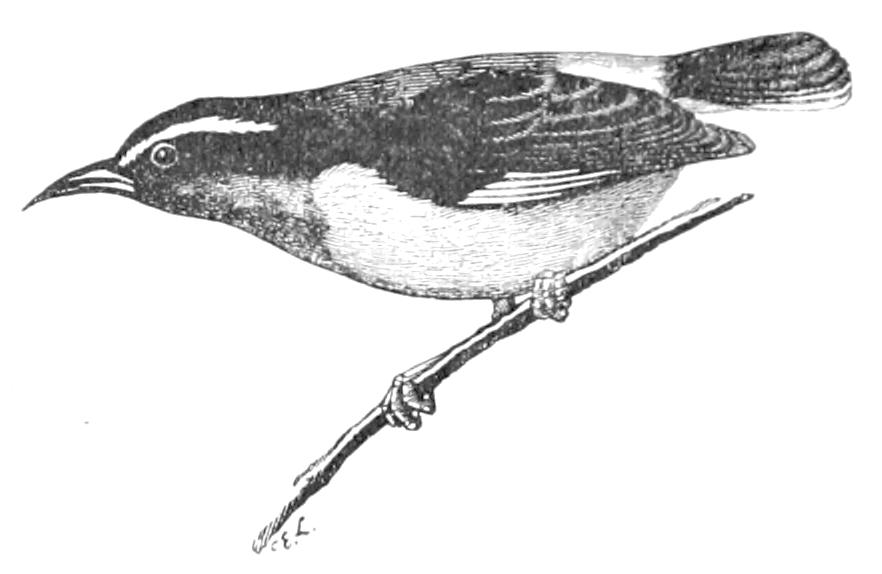 fig138