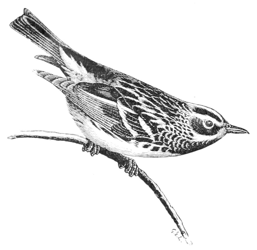 fig139
