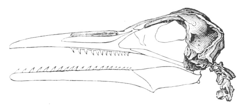 fig14