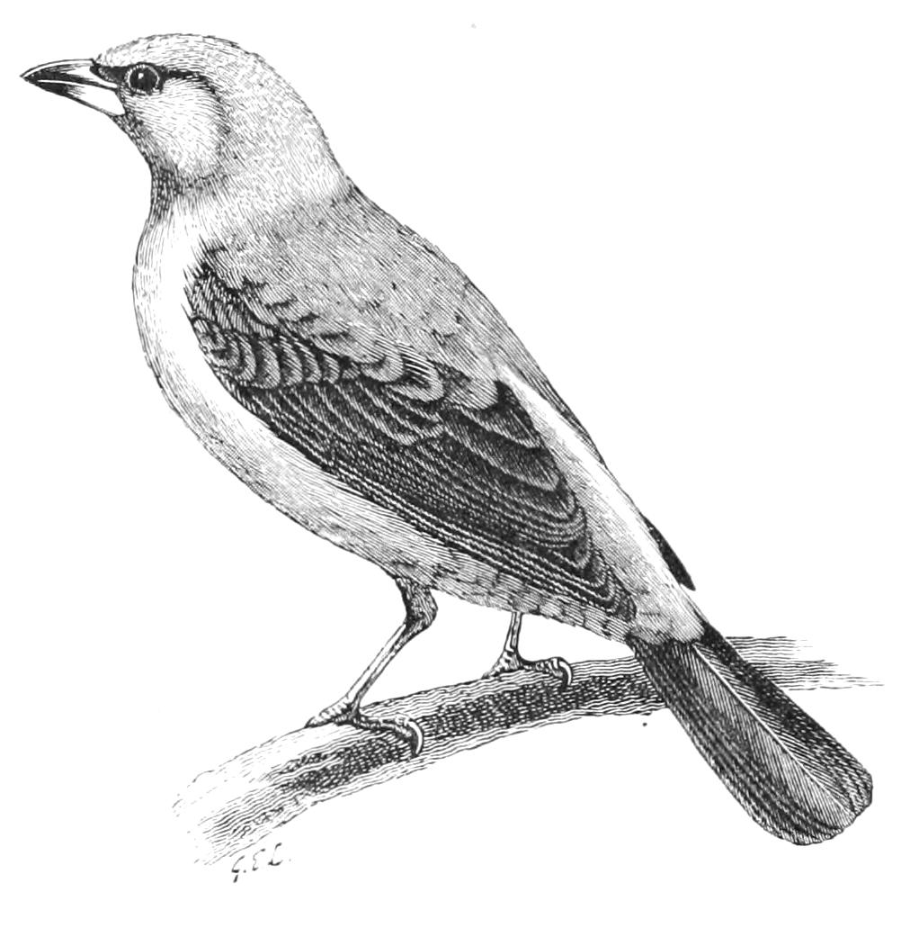 fig140