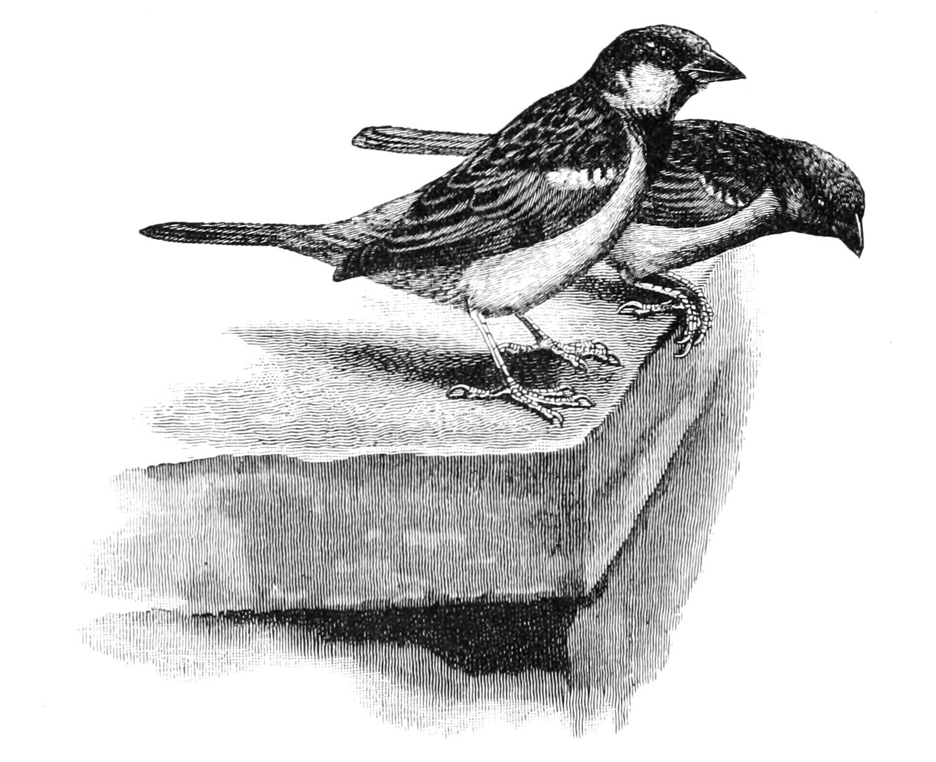 fig143