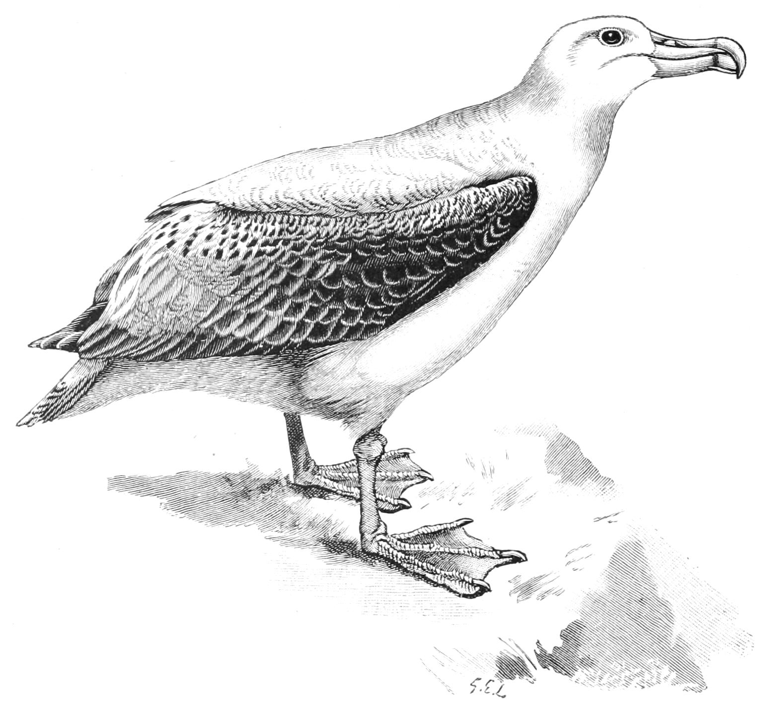 fig18