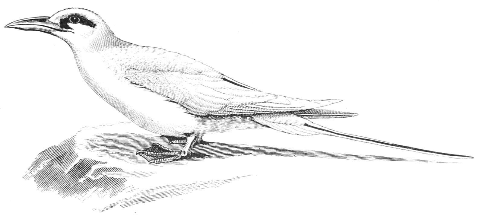 fig20