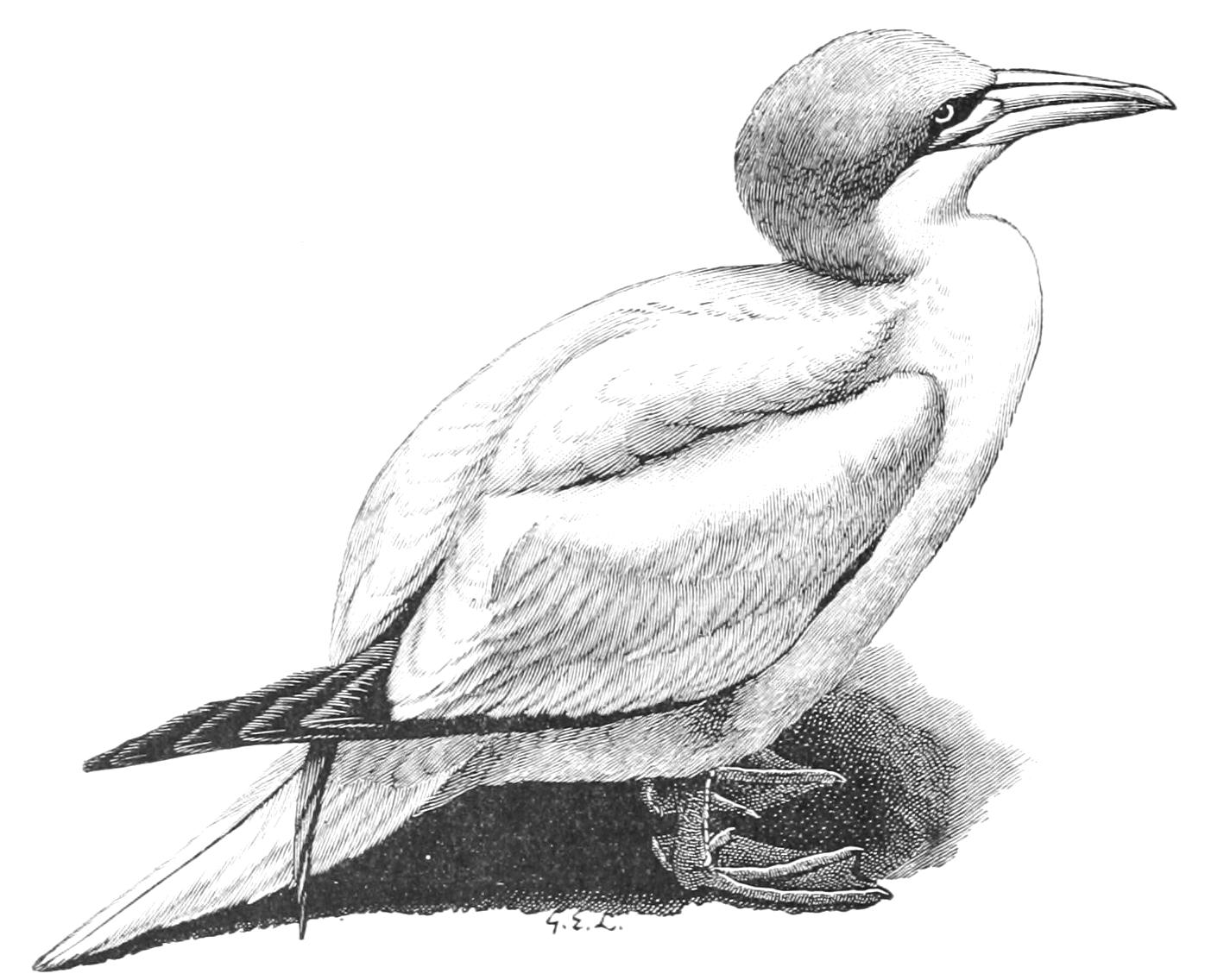 fig21