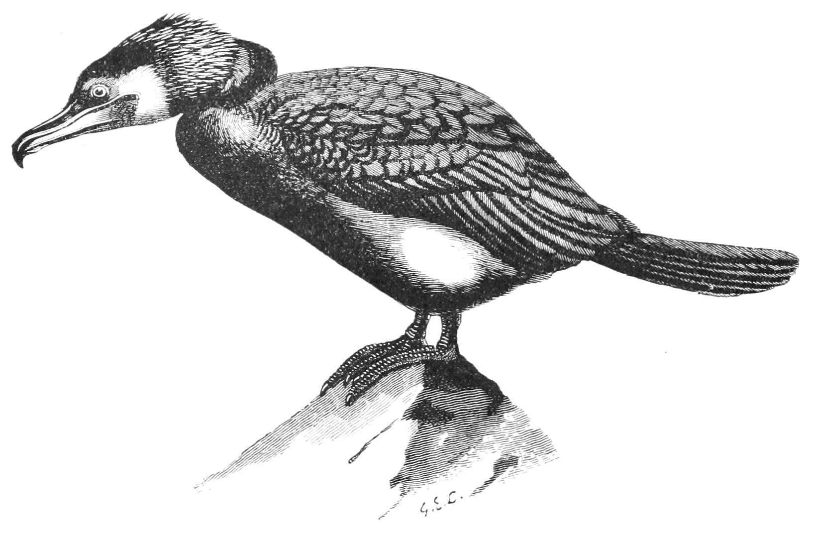fig22