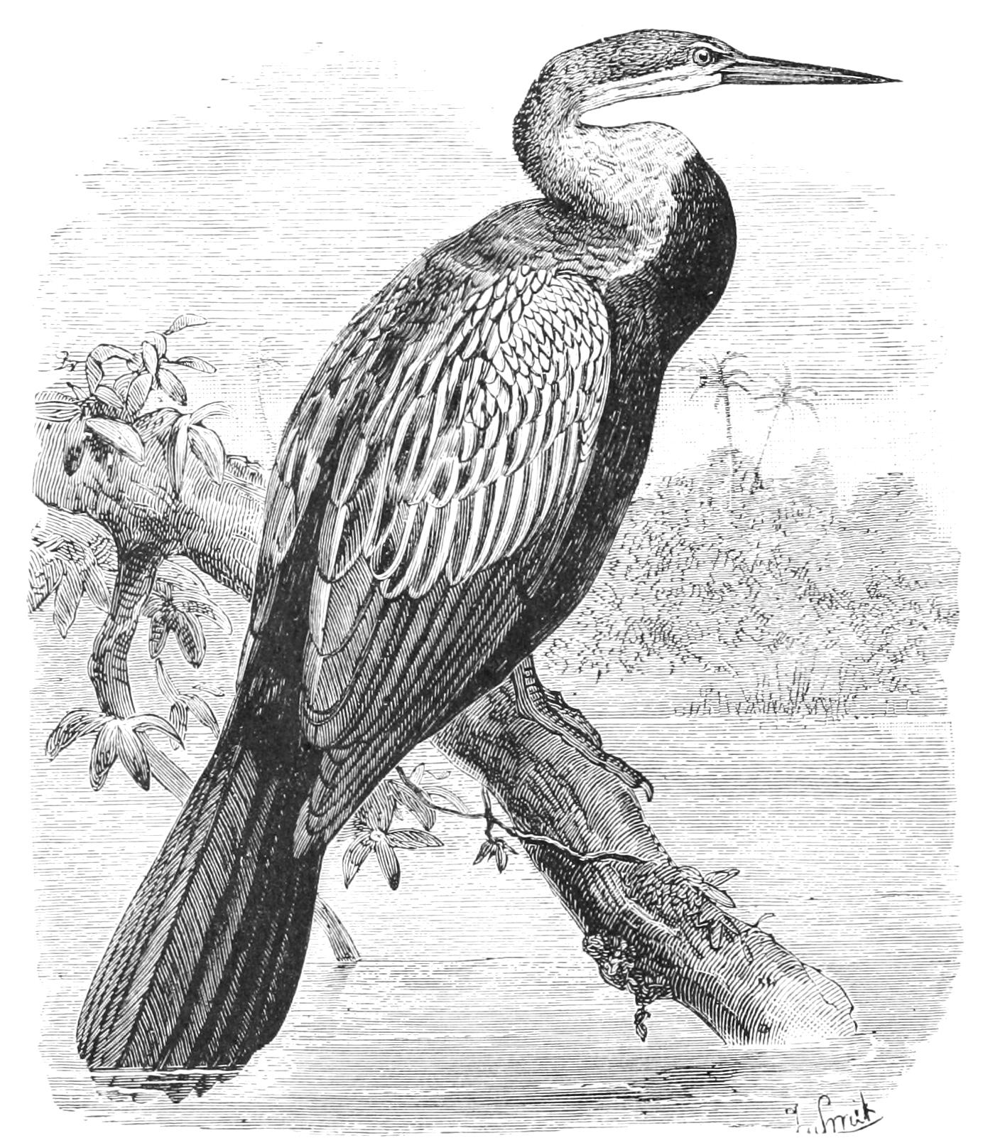 fig23