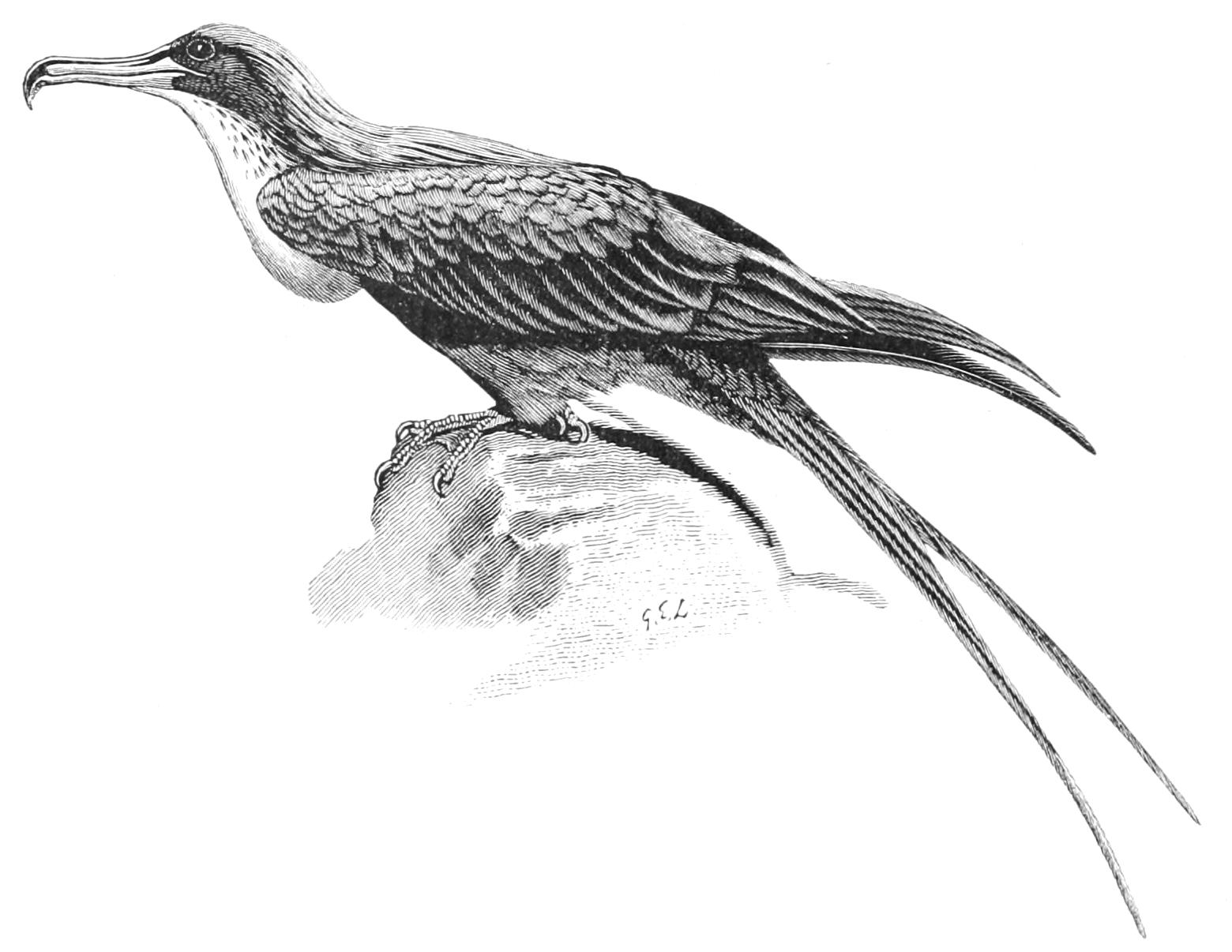 fig24