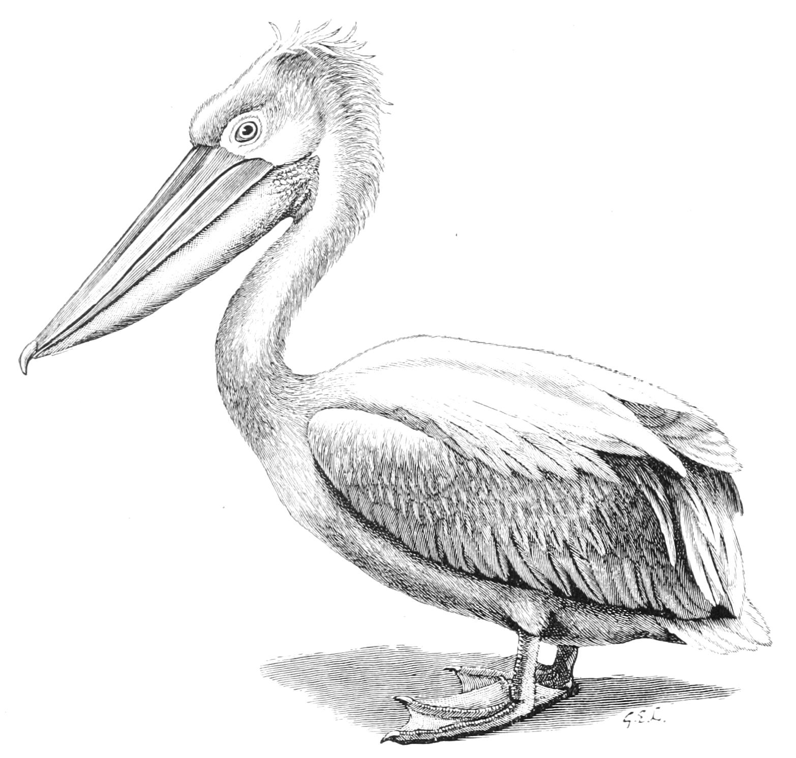 fig25