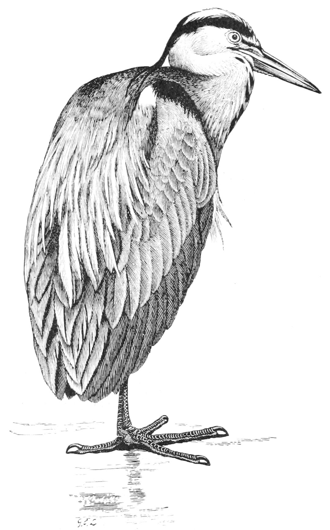 fig26