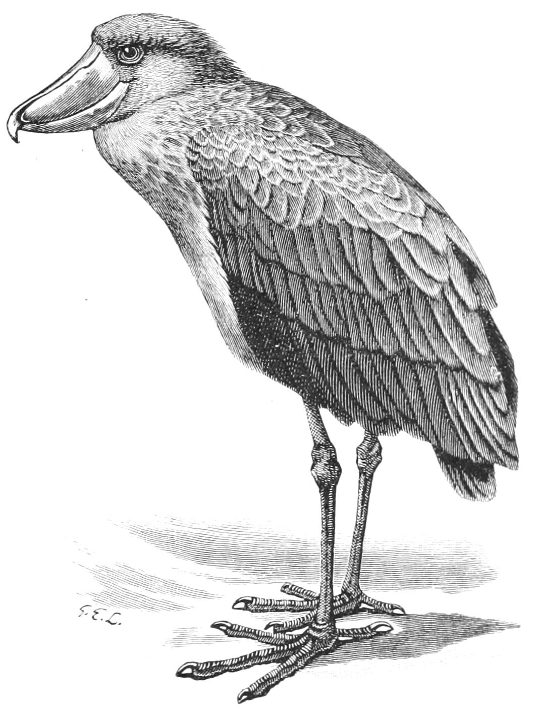 fig27
