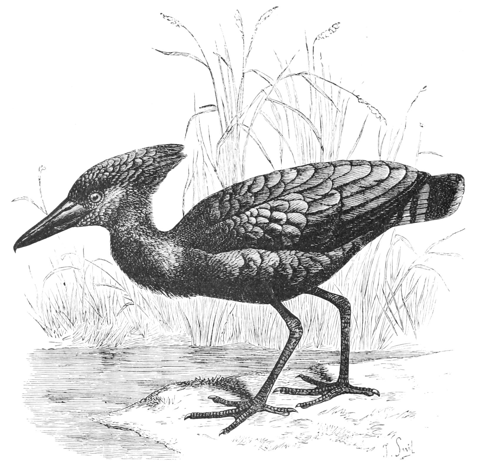 fig28
