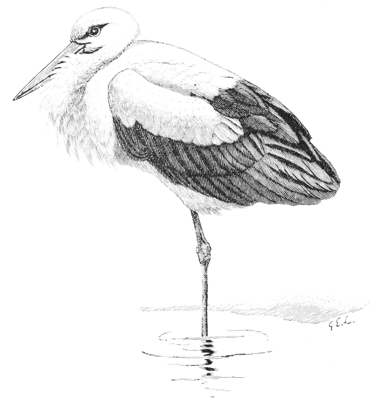 fig29