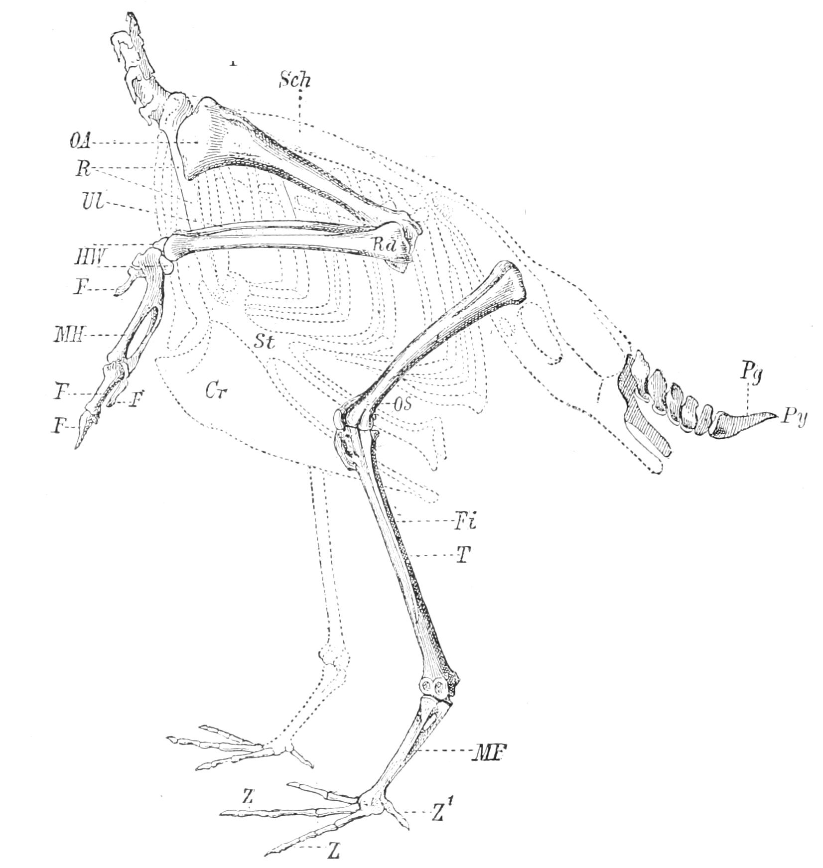 fig3