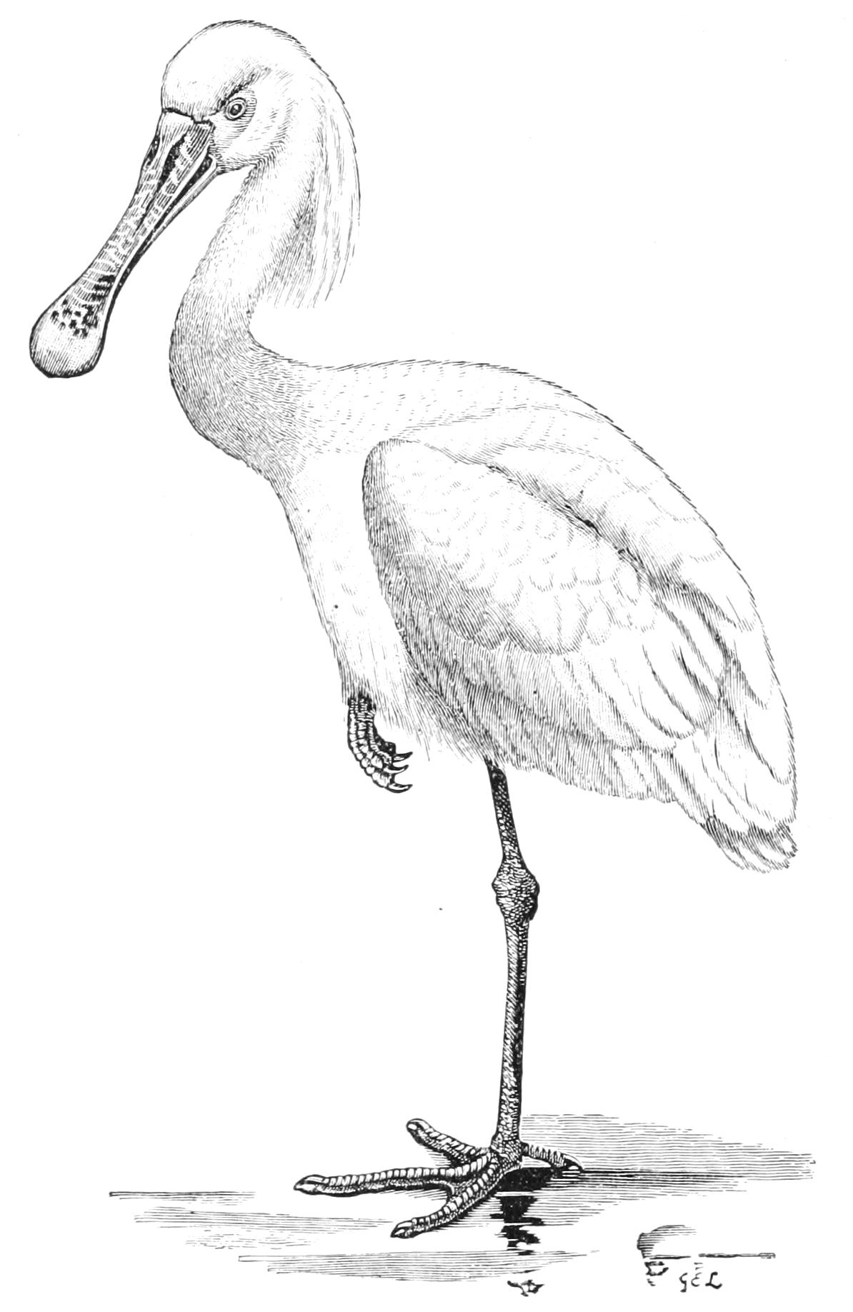fig30