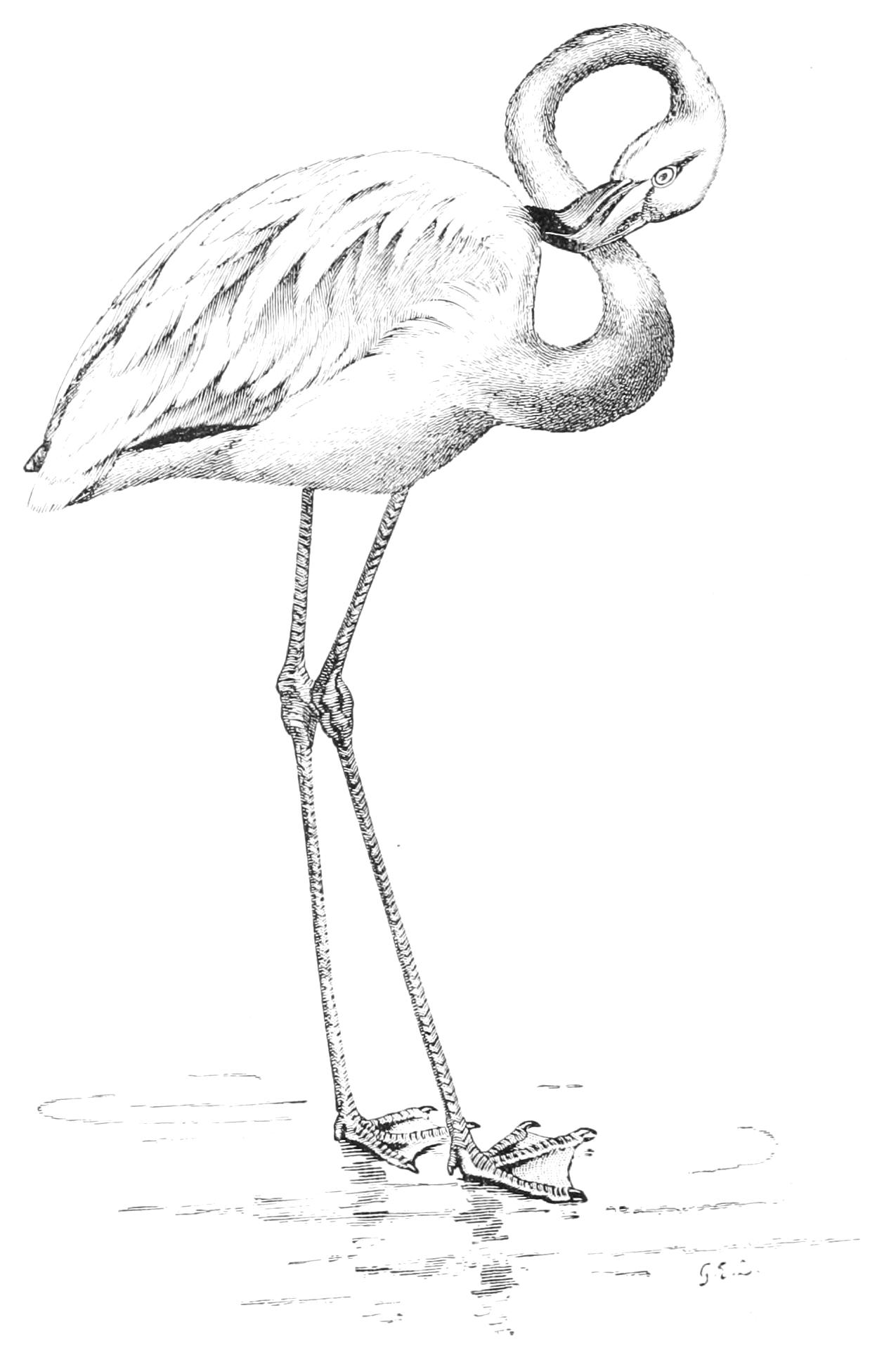 fig31